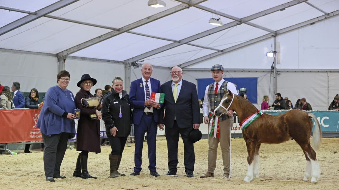 Thousands of visitors flock to Builth Wells for Royal Welsh Winter Fair breconradnor.co.uk